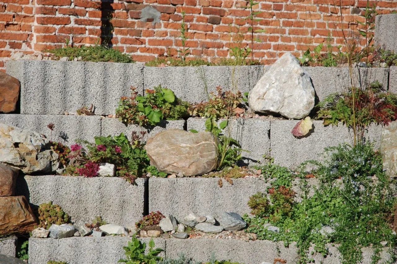 Un talus retenu par des murets de pierre en gradins, plantés de vivaces de rocaille